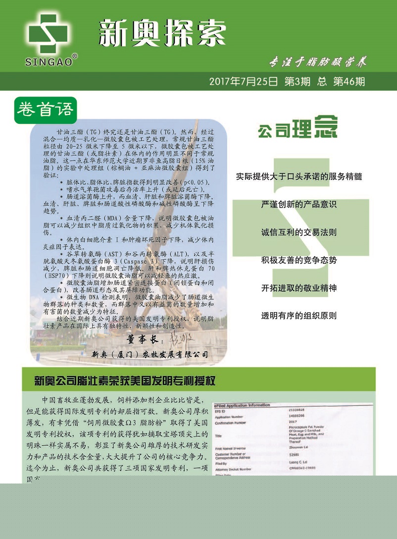 新门内部免费资料大全,警惕虚假宣传-全面释义、解释与落实、定量解答解释落实